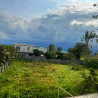 زمین-های-قیمت-مناسب-در-دو-قدمی-جنگل