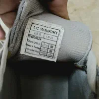 کفش کتونی برند LC|کیف، کفش، کمربند|تهران, امام زاده عبدالله|دیوار