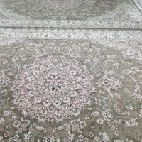 فرش|فرش|نیشابور, هفده شهریور|دیوار