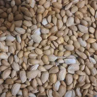 بادام تازه امسالی دیمه شیرین درجه یک یک مقوی