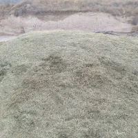 یونجه خرمنکوب شده آماده مصرف دام