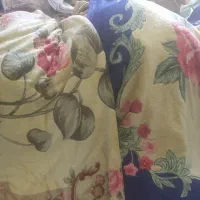 تعدادی(حدودا ۱۰۰تخته) پتو به صورت یکجا