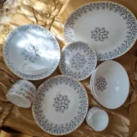 سرویس ارکوپال ۲۶ پارچه دینو