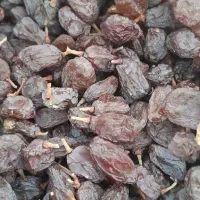 کشمش آفتابی درشت بوانات