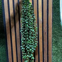 کاغذ دیواری،پارکت،ترمووال،ماربل،شیت|مصالح و تجهیزات ساختمان|اهر, |دیوار