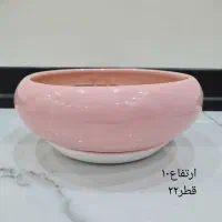 گلدان|گل و گیاه طبیعی|تهران, کیانشهر|دیوار