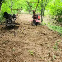 شخم زدن باغ با دستگاه تیلر و علف زنی تمام نقاط