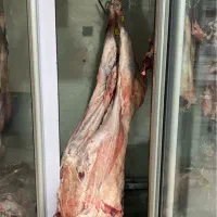 کارگر ساده