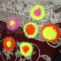 اسکاج خانگی