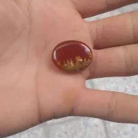 عقیق شجر طبیعی به شرط