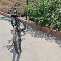 دوچرخه ۲۴ در حد