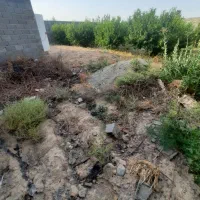 باغچه ۵۰۰متر چهاردیواری درشاهدشهر شهریار|فروش دفتر صنعتی، کشاورزی، تجاری|شاهدشهر, |دیوار