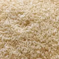 برنج چمپای خوش عطر خوش پخت