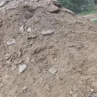 خاک حیوانی گاو