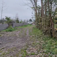 فروش زمین با کاربری مسکونی|فروش زمین و ملک کلنگی|لاهیجان, لیالستان|دیوار