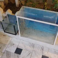 آکواریم