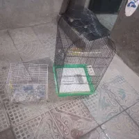 قفس پرنده