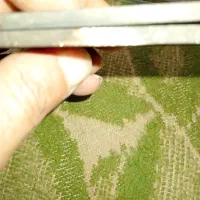 دو عدد لولا با عمر بالای 200سال