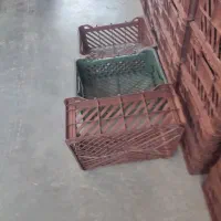 سبد 7کیلویی|ظروف نگهدارنده، پلاستیکی، یک‌بارمصرف|کرمانشاه, |دیوار