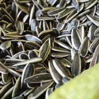 گردو کاغذی اعلا ایرانی درجه یک به صورت عمده و خرده|عمده‌فروشی|خمینی‌شهر, |دیوار