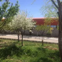 شراکت در تولید ، اجاره کارخانه