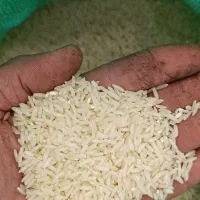 برنج کشت دوم اعلا