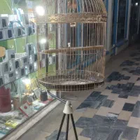 قفس|لوازم جانبی حیوانات|فیروزآباد (لرستان), |دیوار