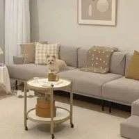 جویای خانه یا همخونه