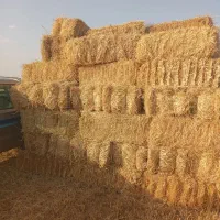 پرس جو