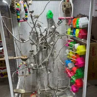 قفس پرنده با تجهیزات یکجا