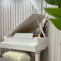 پیانو گرند ۱۶۰ سانت