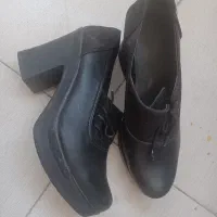 کفش مجلسی در حد نو|کیف، کفش، کمربند|شیراز, شهدای شهرک سعدی|دیوار