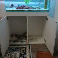 آکواریوم ریملس سوپر کلیر درپیروزی