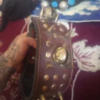 قلاده یا قورچه