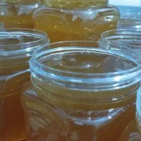 عسل گون کوهرنگ اصل صددرصد طبیعی و عسل چهل گیاه