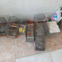 قفس پرنده