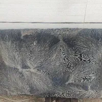 صندلی مبلی نیسان