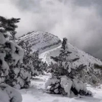 راهنمایی بیرون رفتن