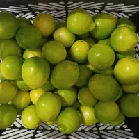 لیمو ترش تازه