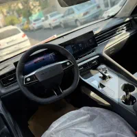 رئووی وارداتی صفر خشک 2024 خوش رنگ