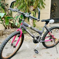 دوچرخه سالم سایز ۲۴