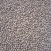 فروش ۱۵۰۰کیلو نخود زود پز تمیز|خوردنی و آشامیدنی|آوج, |دیوار