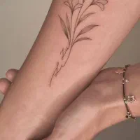 تتو بدن|خدمات آرایشگری و زیبایی|بوشهر, |دیوار