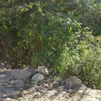 نیازمند نیروی کار