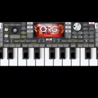 همه نوع ست موجود است