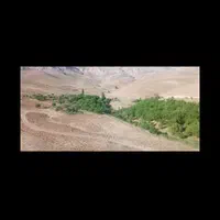 تاکستان سینک باغ وزراعی با موقعیتی بی همتا|فروش دفتر صنعتی، کشاورزی، تجاری|شال, |دیوار