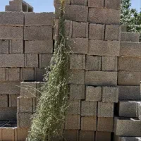 بذر یونجهusa با تناژ بالا