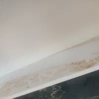 تمیز کاری نظافت منزل با وسایل کامل قالی شوی|خدمات نظافت|اصفهان, قهاب جنوبی|دیوار