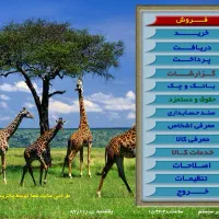 نرم افزار حسابداری پاتریس