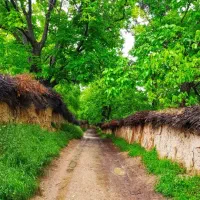 مرکز-فروش-باغات-قصردشت